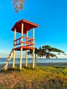 Lifeguard station by the sea with a tree, blue sky in a beautiful afternoon and grass